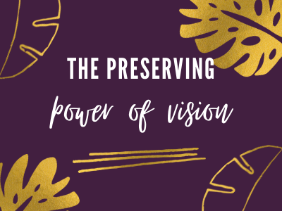 Preserving Power of a Vision