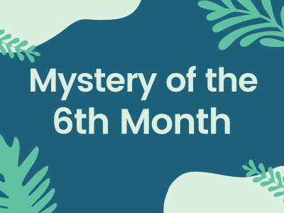 Mystery of the Sixth Month