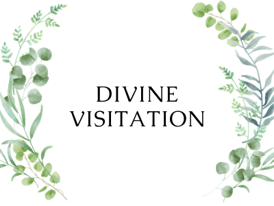 Divine Visitation
