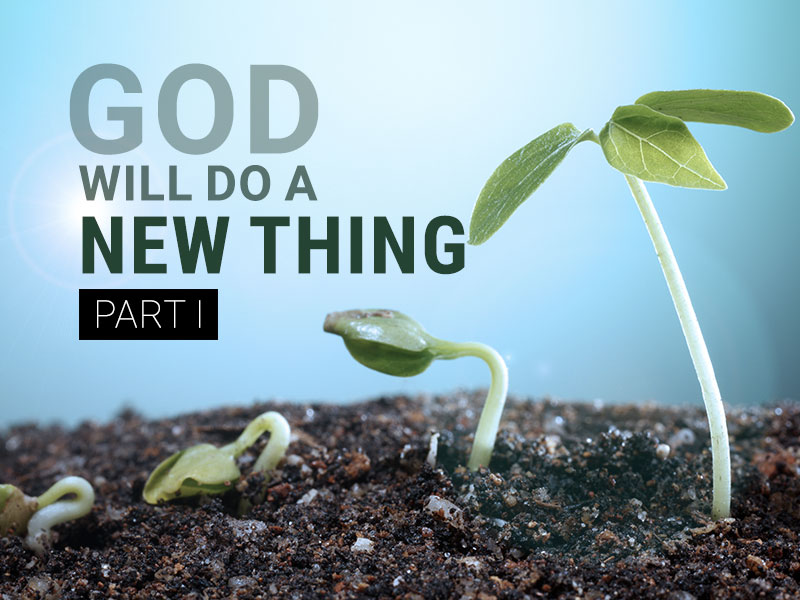 God Will Do A New Thing