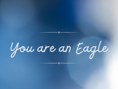 You are an Eagle