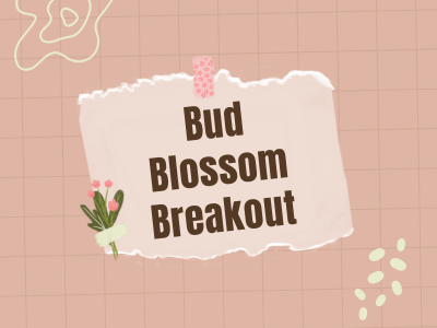 Bud. Blossom. Breakout