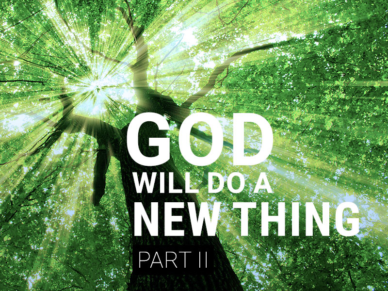 God Will Do A New Thing - II